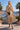 Caftan en coton de soie - beige Asie