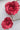 Petite broche rose cyclamen aspect daim